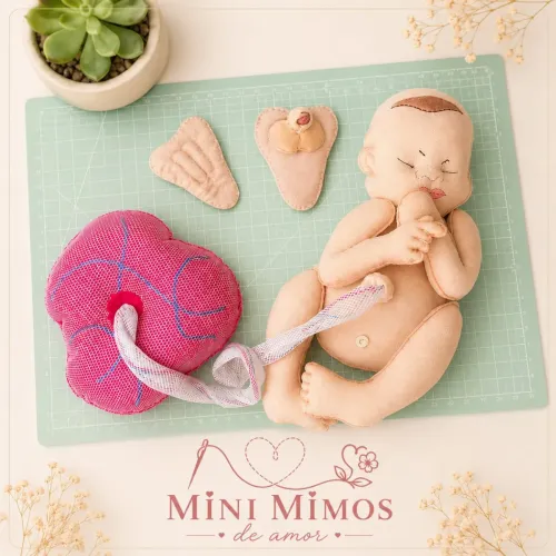Bebê, Placenta e Genitais