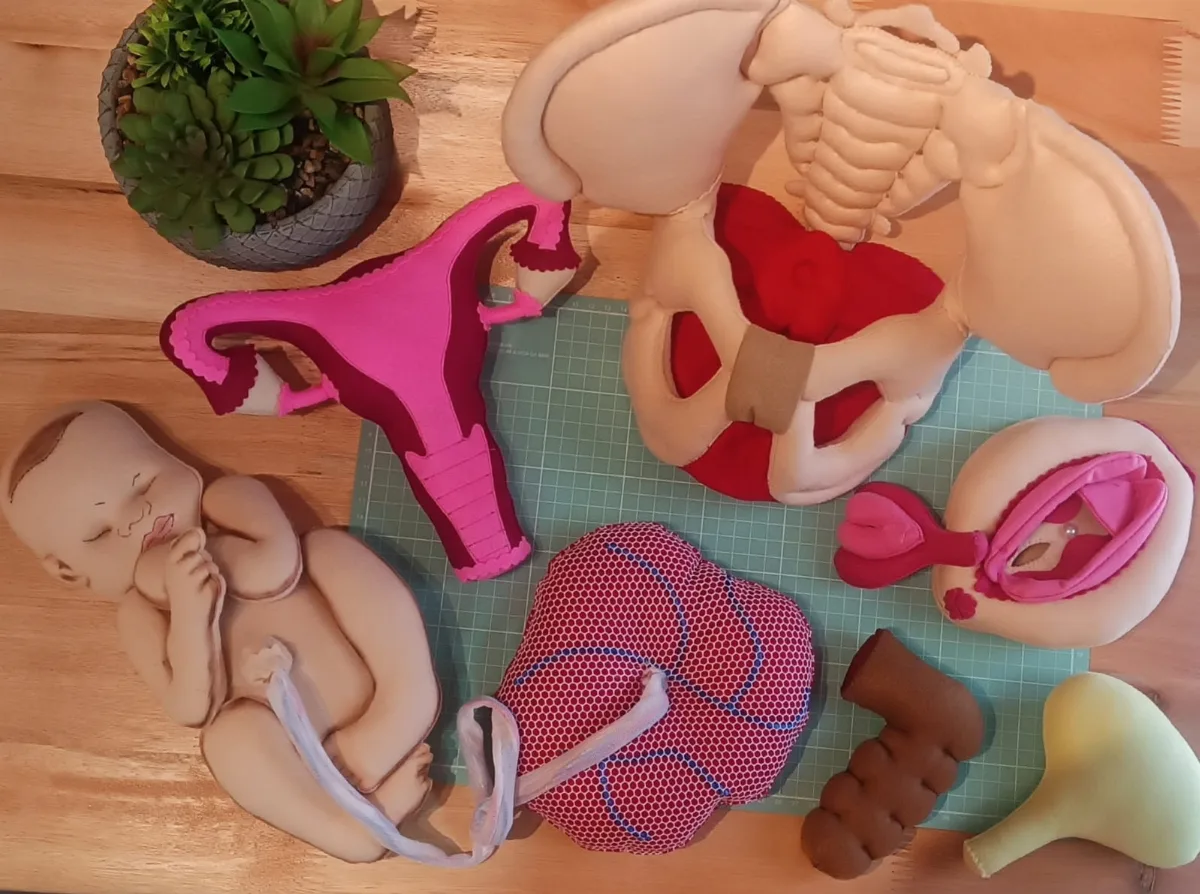 Kit Pelve Órgãos COMPLETO
