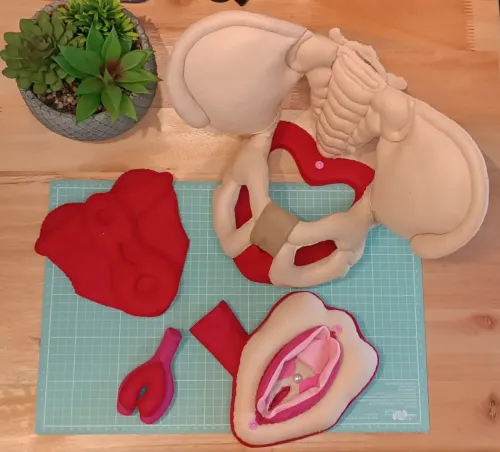 Kit Pelve e Vulva