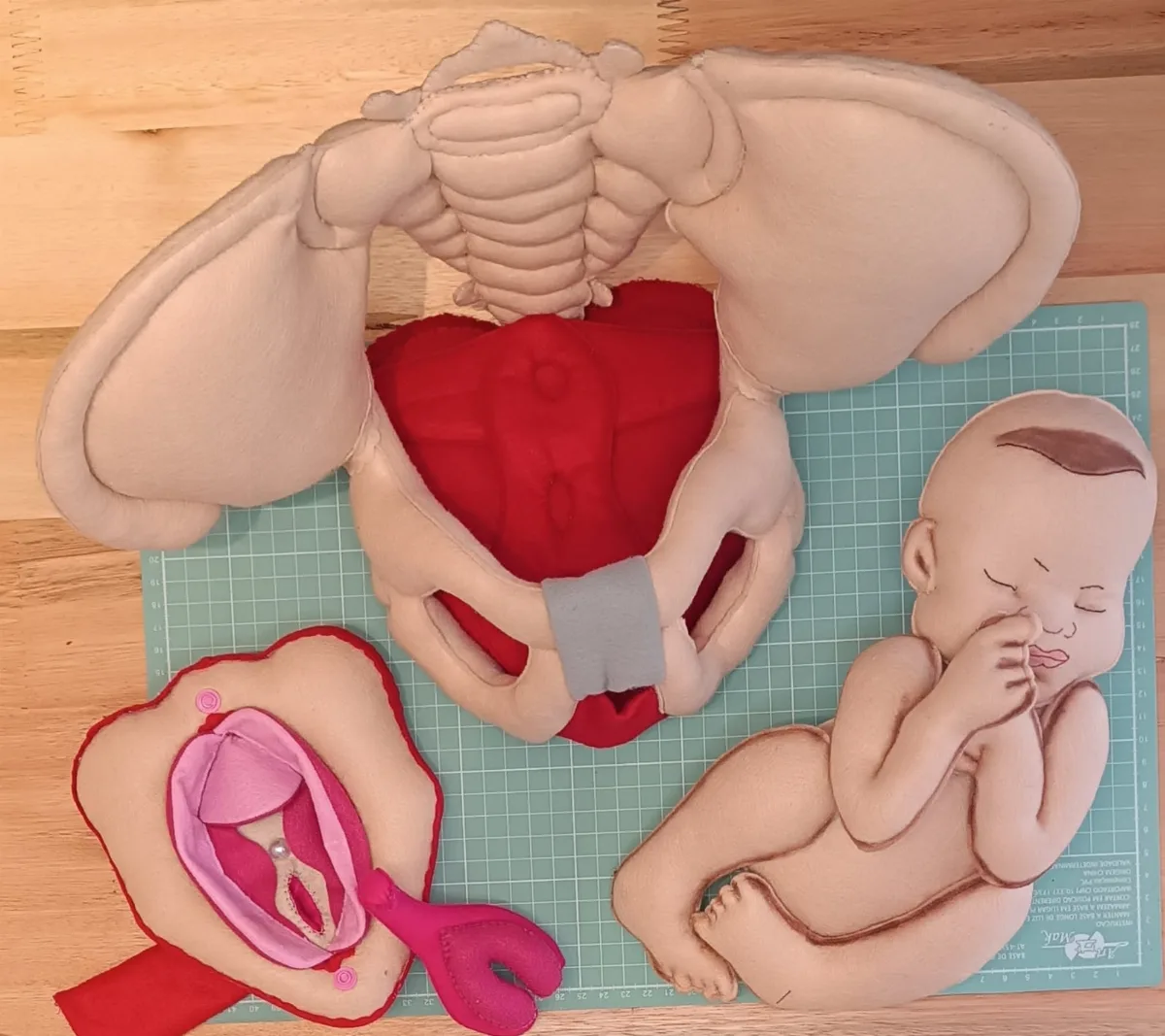 Kit Pelve , vulva e bebê