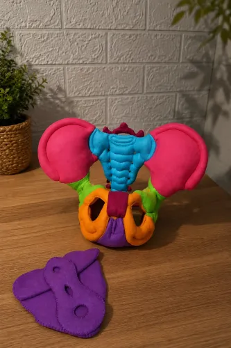 Pelve Color ( assoalho removível)