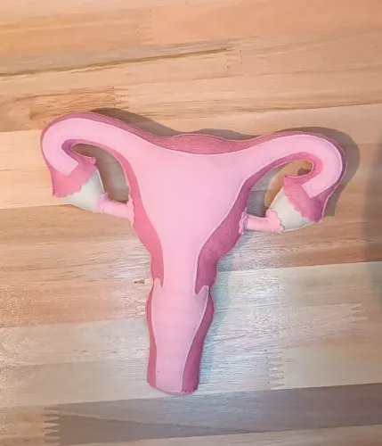 Útero Didático