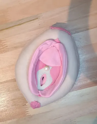 Vulva Didática