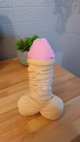 Pênis Didático