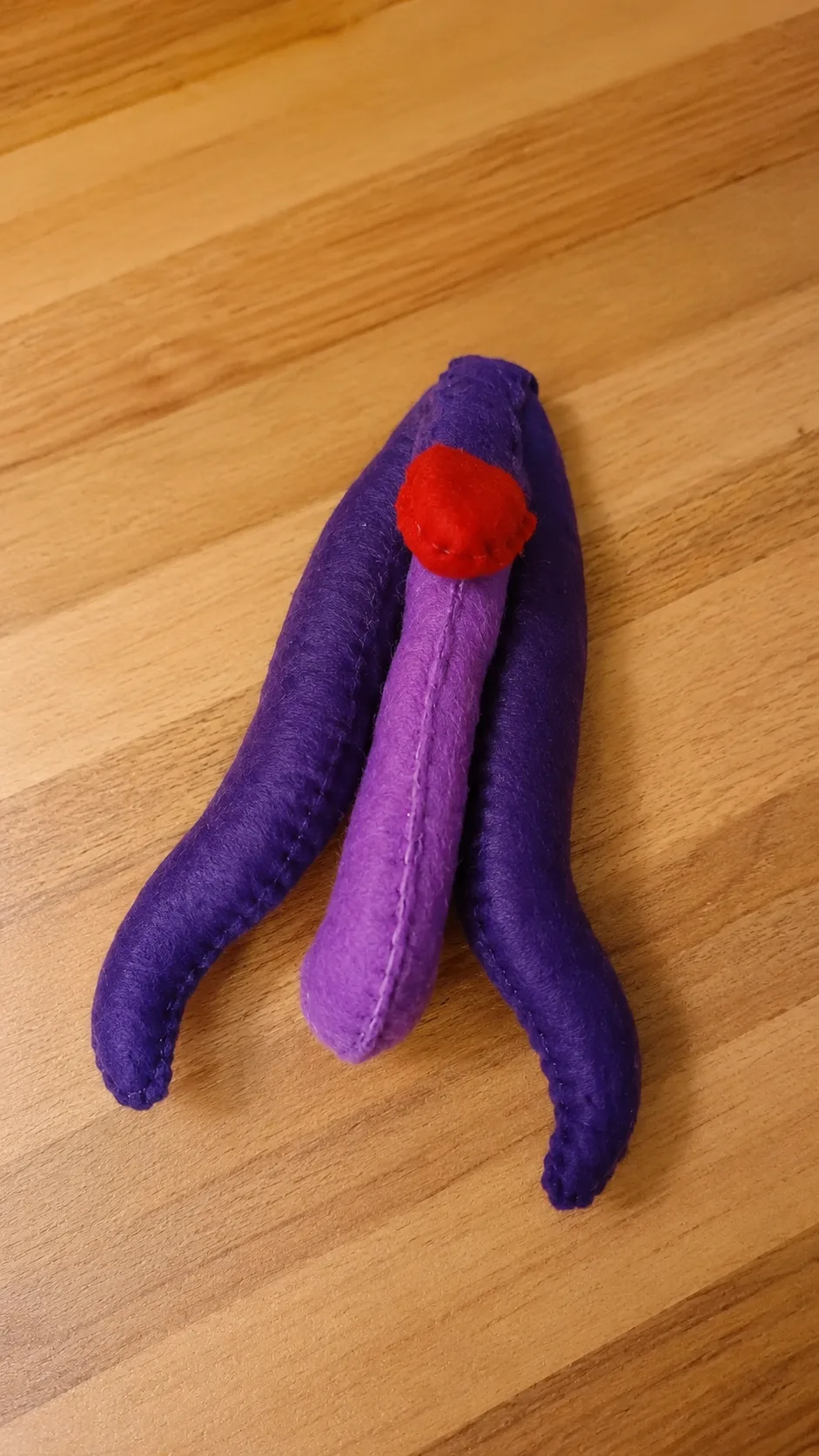 Sistema Reprodutor Masculino Didático